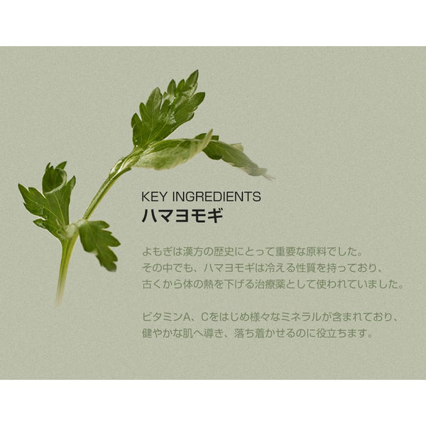 Beauty of Joseon Matte Sun Stick Mugwort + Camilia (SPF 50+ PA++++)